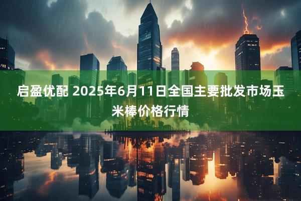 启盈优配 2025年6月11日全国主要批发市场玉米棒价格行情