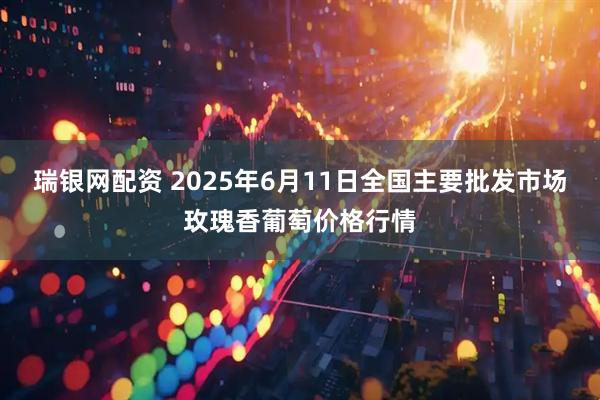 瑞银网配资 2025年6月11日全国主要批发市场玫瑰香葡萄价格行情