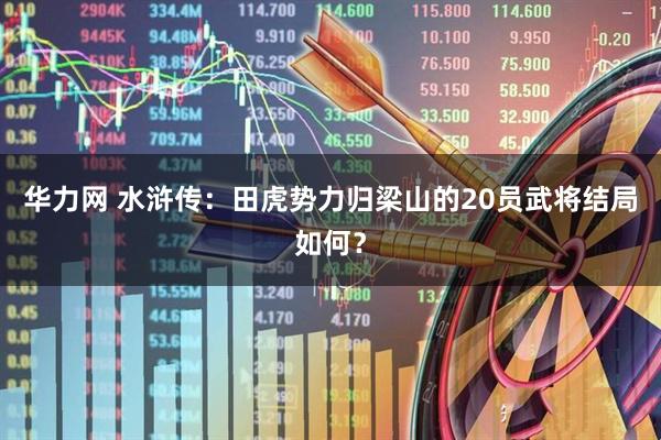 华力网 水浒传：田虎势力归梁山的20员武将结局如何？