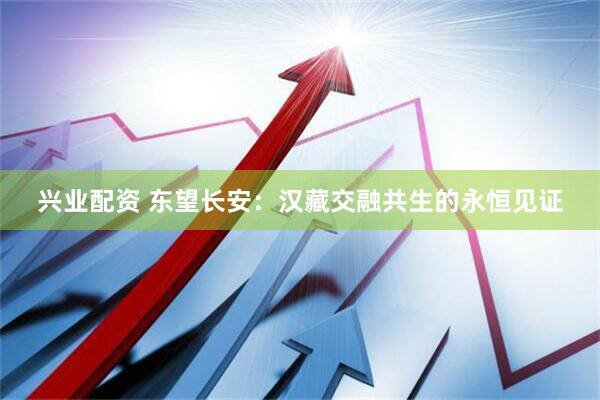 兴业配资 东望长安：汉藏交融共生的永恒见证